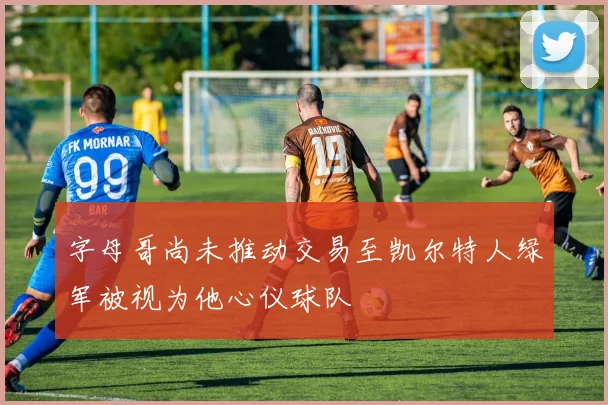 字母哥尚未推动交易至凯尔特人绿军被视为他心仪球队