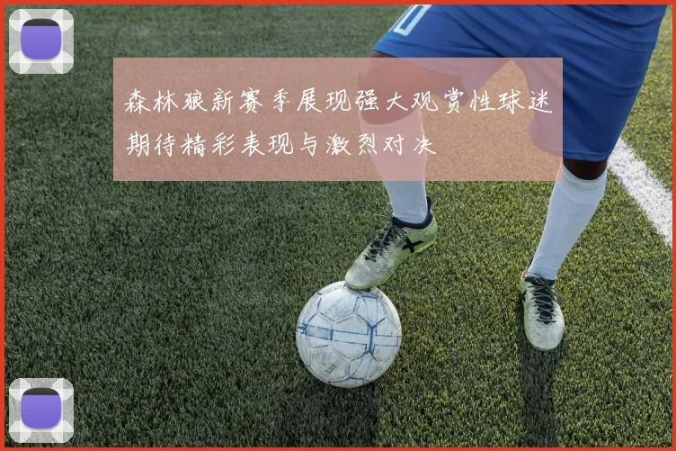 森林狼新赛季展现强大观赏性球迷期待精彩表现与激烈对决